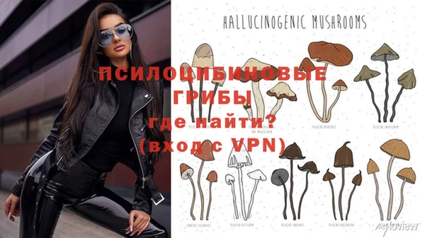 бошки Балабаново