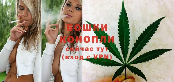 не бодяженный Дмитровск