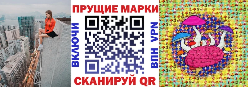 blacksprut Сафоново Марки N-bome 1,8мг